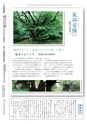 常陸日和　創刊号2014年8月号