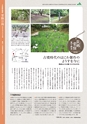 常陸日和　2020年7月号