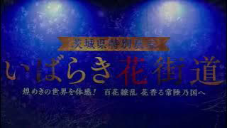 youtube動画
