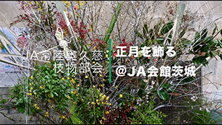 youtube動画