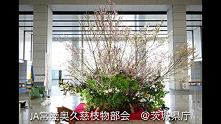 youtube動画
