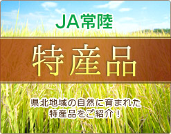 JA常陸の特産品
