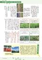 だいすき常陸　第30号