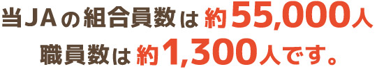 JA常陸の組合員数は約55,000人、職員数は約1,300人です。