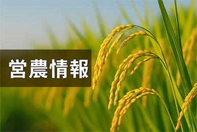 営農情報