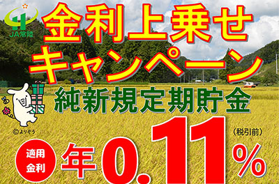 金利上乗せキャンペーン 純新規定期預金 適用金利年0.11%