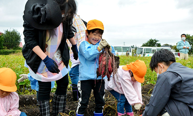 サツマイモ収穫祭の様子