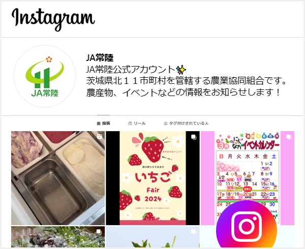 SNS インスタグラムイメージ